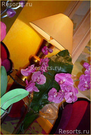 Hotel Massena 13